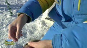 Зимняя рыбалка на Аргазях! Ёрш, чебак, окунь. Февраль 2015!