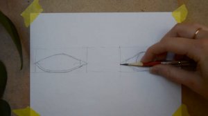 Как нарисовать глаза? Подробный урок