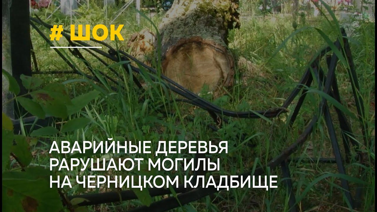 Черницкое кладбище барнаул схема захоронений