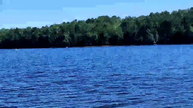 Озеро Еловое, Челябинская область, 2023г.Чистейшая вода и красивая природа. смотреть онлайн