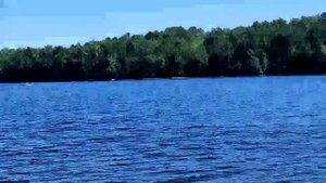 Озеро Еловое, Челябинская область, 2023г.Чистейшая вода и красивая природа.