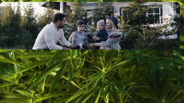 Конопля дома видео, дома конопли или конопля дом. Дом с конопли, строительства дома из конопли!.