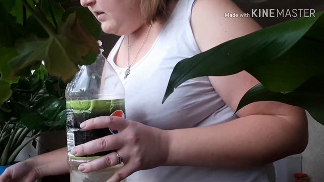 #Мои_цветы/#Домашние хлопоты ч.2 смотреть онлайн