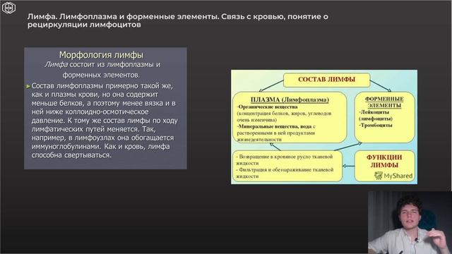Гистология | ТРОМБОЦИТЫ. ЛИМФА