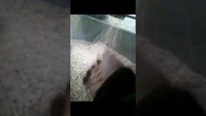 Крутая самоделка СОРТИРОВКА ЗЕРНА. #2
