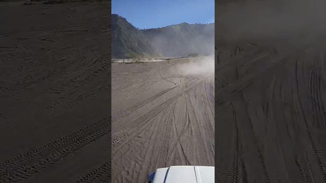 PADANG SAVANA GUNUNG BROMO