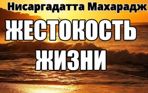 УБИЙСТВО ВРЕДИТ УБИЙЦЕ, А НЕ УБИТОМУ. НИСАРГАДАТТА МАХАРАДЖ #Нисаргадатта #махарадж #просветление