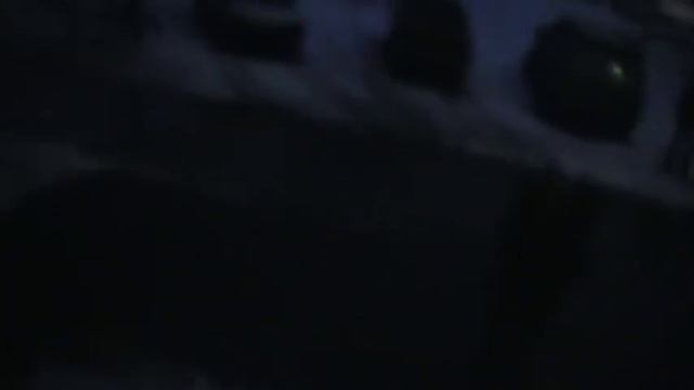 Незаконные действия Тульской полиции по отобранию ребенка