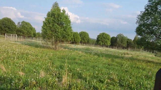 Пасека на 145 рамке. Делаем сборные отводки