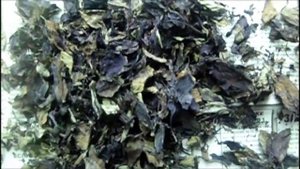 Приправа из базилика (в домашних условиях)