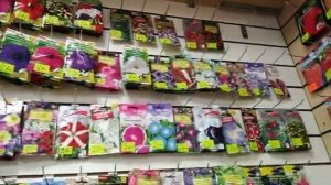 3 ноября 2022г. В МАГАЗИНЕ СЕМЯН случайно