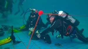 Курс PADI Мастерское Владение Плавучестью