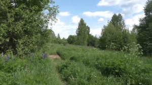 Остался последний житель в деревне. Глухая деревня в глубинке. Покинутая деревня. Заброшенные дома.