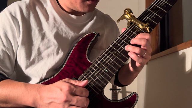 【世界一眠たくなるリバースディレイソロギター103】SleepyReversedelay Sologuitar【SCHECTER HELLRAISER C-8,8stringguitar,8弦ギター смотреть онлайн