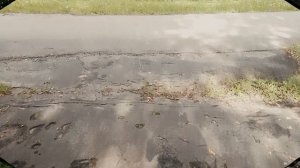 п. Александровское, Костромская область - история