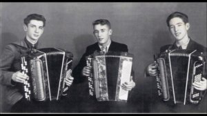 Дуэт баянистов