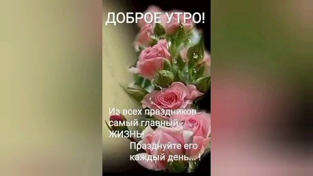 Божественного Утра💜Пусть 1 февраля принесёт каждому🌞Радость, счастье и вдохновения🎁