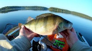 Рыбалка на Озернинском водохранилище