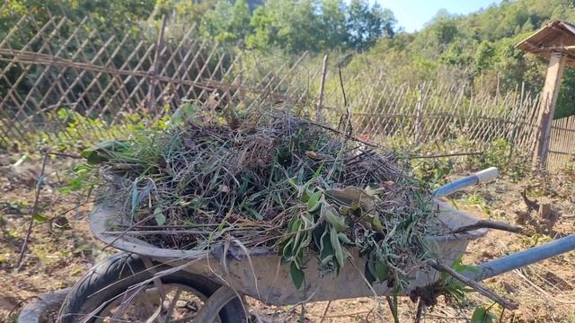 Improve the garden to plant more cassava. Live with nature смотреть онлайн