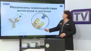Биология. 11 класс. Механизм взаимодействия между антигеном и антителом /04.09.2020/
