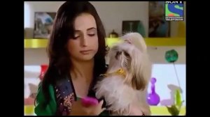 001 серия «Чанчан»