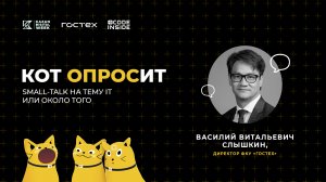 «Кот опросИТ»: Василий Слышкин о перспективах развития платформы «ГосТех»