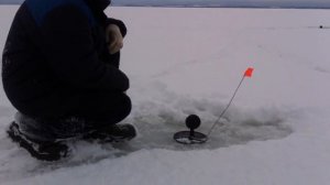 Рыбалка Озеро НЕРО первый лед 13 ноября 2016