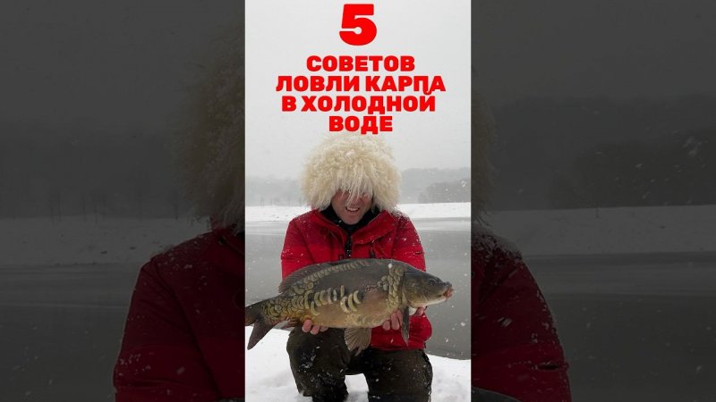 5 СОВЕТОВ по ЛОВЛЕ КАРПА ранней ВЕСНОЙ! #карпфишинг #рыбалка