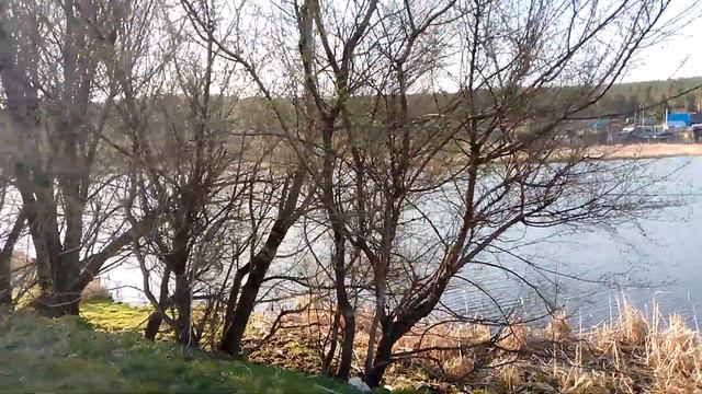 Утро в селе Синеборск, Шушенского района, КРАСНОЯРСКОГО края. 21 мая 2023 год