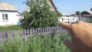 Чем выгодно заниматься в деревне.Итоги инкубации.Деревенский канал.Бизнес в деревне.Доход в деревне