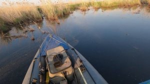 тишина-22-05-2022