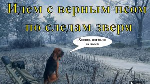 TheHunter: Call of the Wild - симулятор охоты