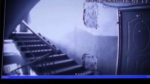 домофон в телевизоре