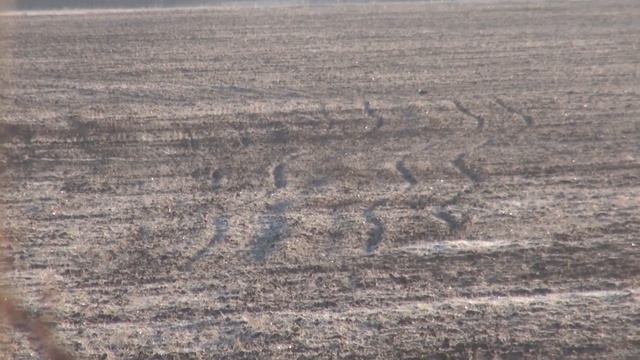 Охота на тетерева весной на току.  Поиск тока