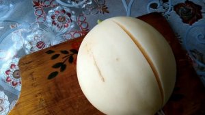 Дыня "Принцесса Диана"на Урале.