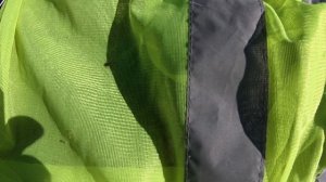 Обзор | GARDEX против клещей | проверяем на клещах