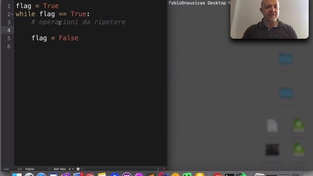 Il ciclo While in Python con variabile flag смотреть онлайн