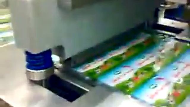 Термоформовочная машина для упаковки сыра в нарезке. Обзор бизнеса