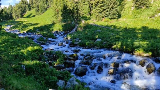 Живописная горная река * Красивая природа * Горная река * Горный ручеек * Горный Алтай.