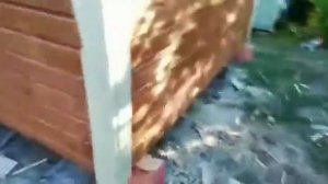 Хозблок с душем и туалетом