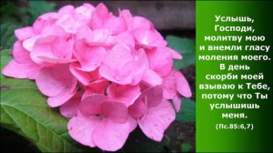 К Тебе, Спаситель мой, взываю. Лучшие христианские песни.