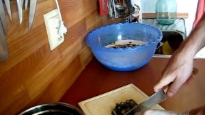 Мед из сосновых шишек