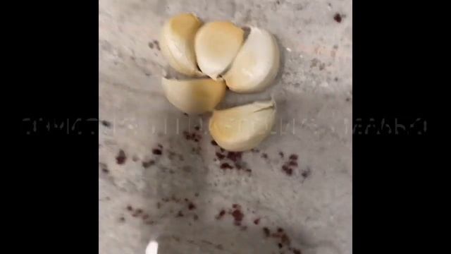 Свекольный салат смотреть онлайн