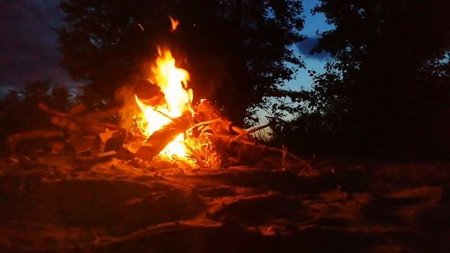 Ночевка на Дону,Серега доволен и песни и чай в самоваре приготовил, американский бульдог на природе смотреть онлайн