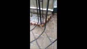 Дровница из остатков профильной трубы