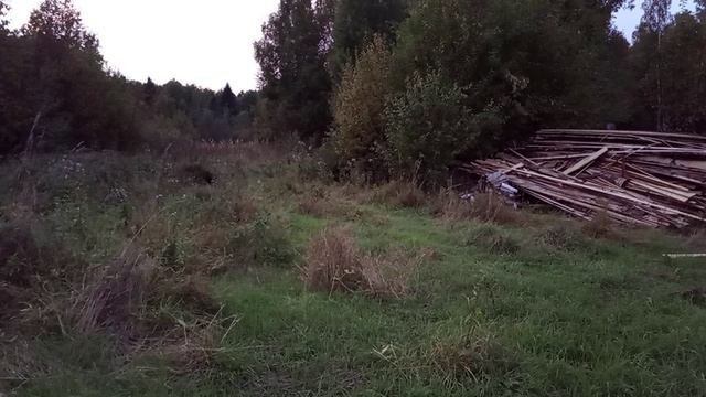 гуляю по деревне смотреть онлайн