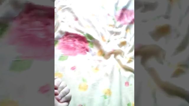 Котёнок Гав и грусный конец лета смотреть онлайн