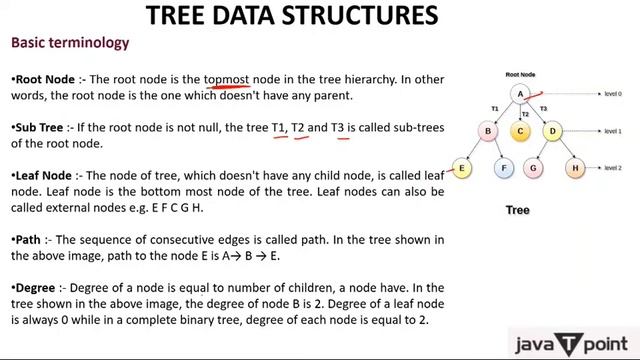 Tree Data structures - Introduction in Hindi l Data Structure l Javatpoint смотреть онлайн