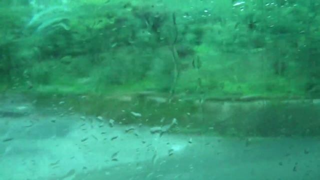 Сочи 2015. День 2 Часть 1. Абхазия. Дача Сталина, Гагра, Дорога в Пицунду смотреть онлайн