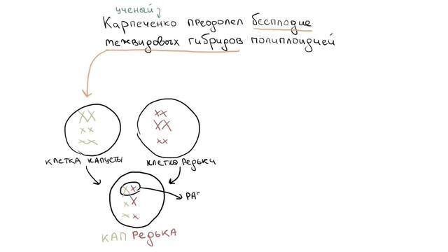 Селекция | БИОЛОГИЯ ЕГЭ | Лина Клевер